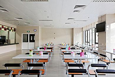 《原始袭变》恐龙“肿头龙”介绍 明年正式发售